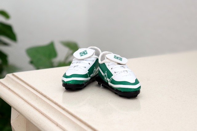 每一支球队 每一支球队