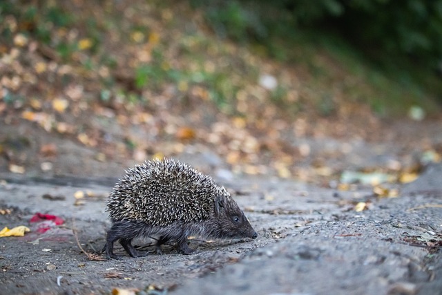 他们再度面 他们再度面