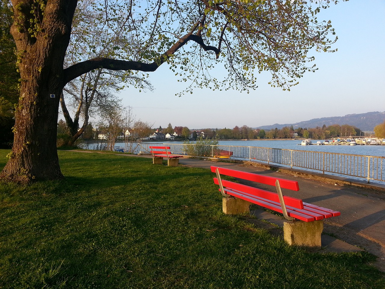 四川队调整 四川队调整