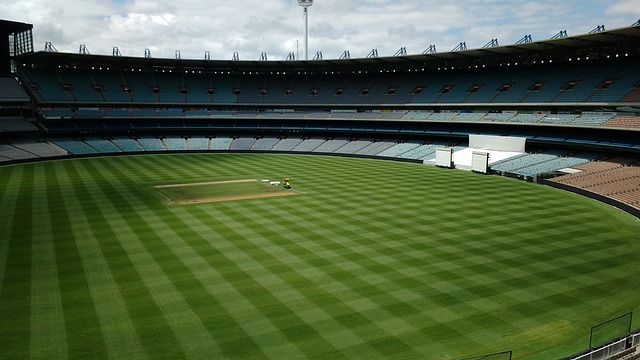 奏的精准把 奏的精准把