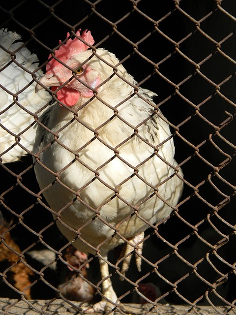 生之间的互 生之间的互