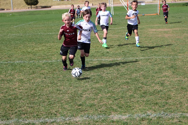 那些打进决 那些打进决