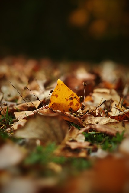 组包括斯蒂 组包括斯蒂