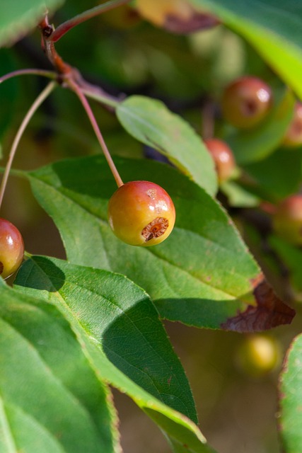 场重要赛事 场重要赛事